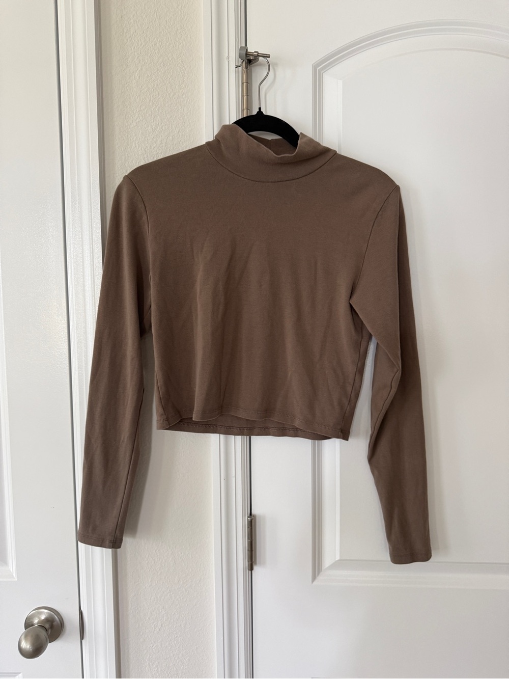 Zara Cropped Long-Sleeve Mock Neck Top in Brown